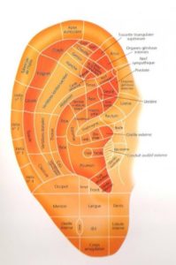 cartographie de l'oreille